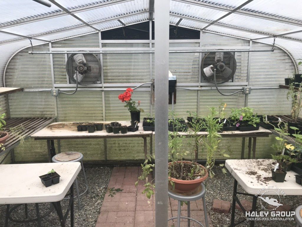 Small teaching greenhouse with exhaust fans, potting tables and seedlings
