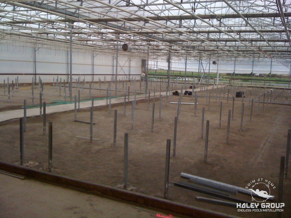 Rows of bench posts set inside a large commercial greenhouse range