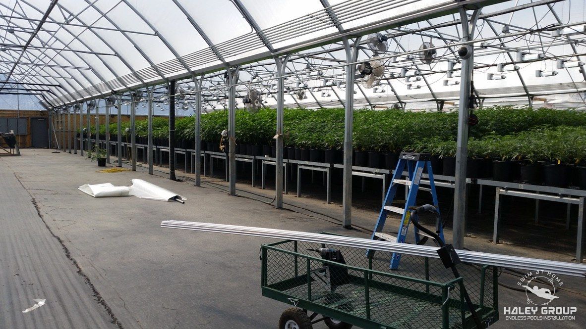 Finished commercial greenhouse in production, with circulation fans and benches