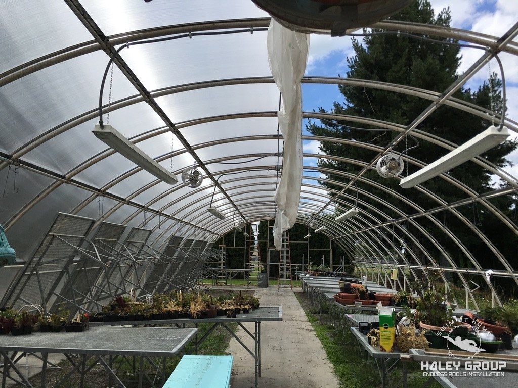Inside an arched polycarbonate greenhouse with benches and hanging lights