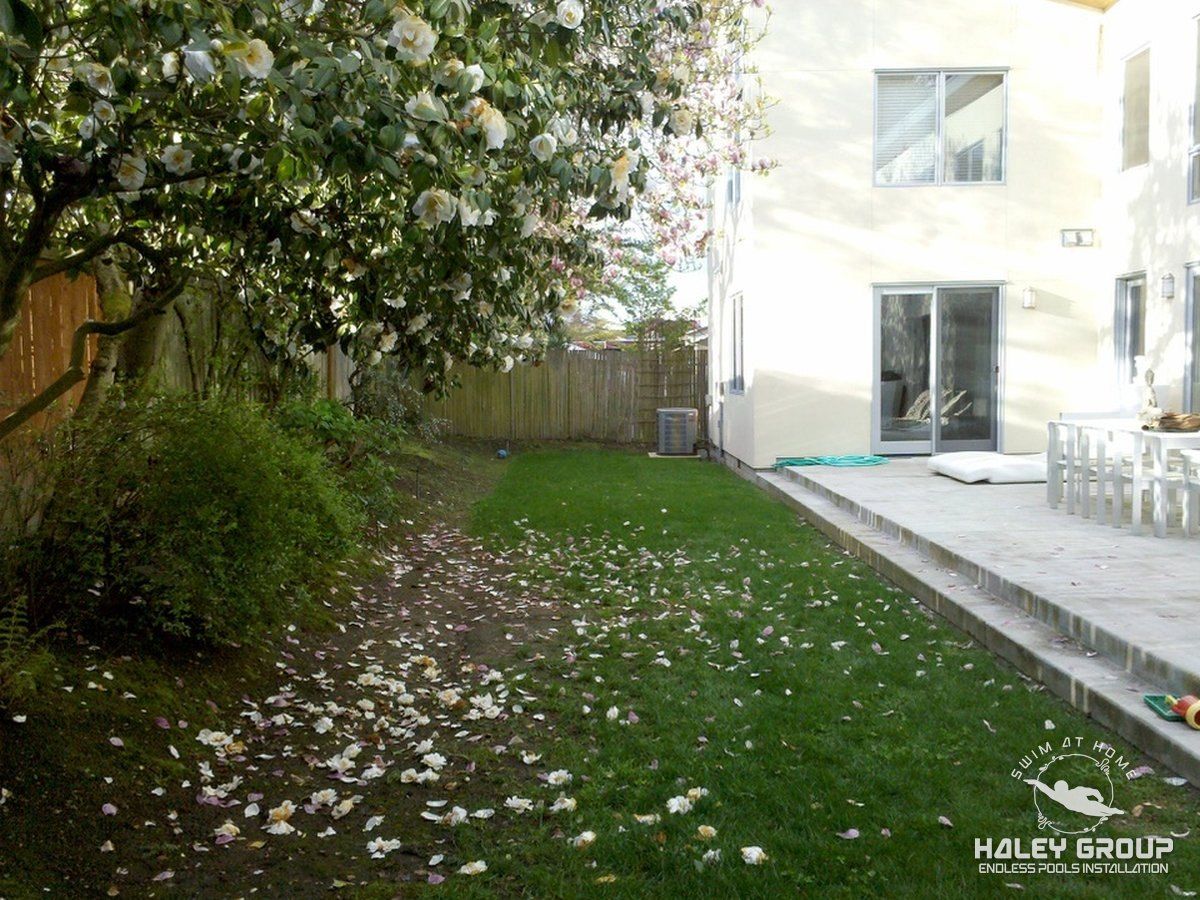 Backyard lawn beside the patio before construction